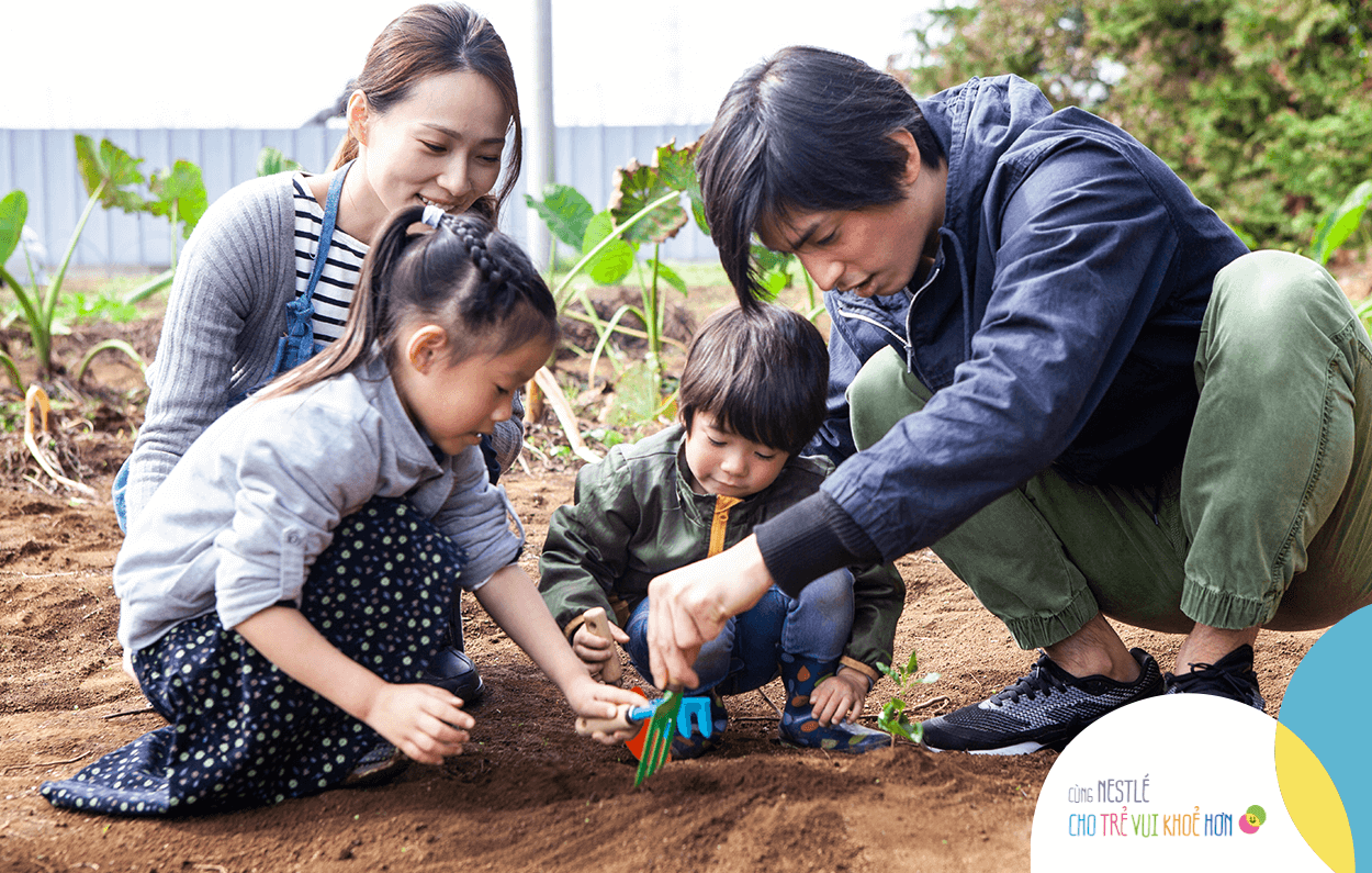 Trong bất kỳ điều kiện về diện tích nào, ba mẹ cũng có thể linh động sắp xếp để cả nhà mình tham gia trồng rau sạch tạo thói quen ăn uống tốt